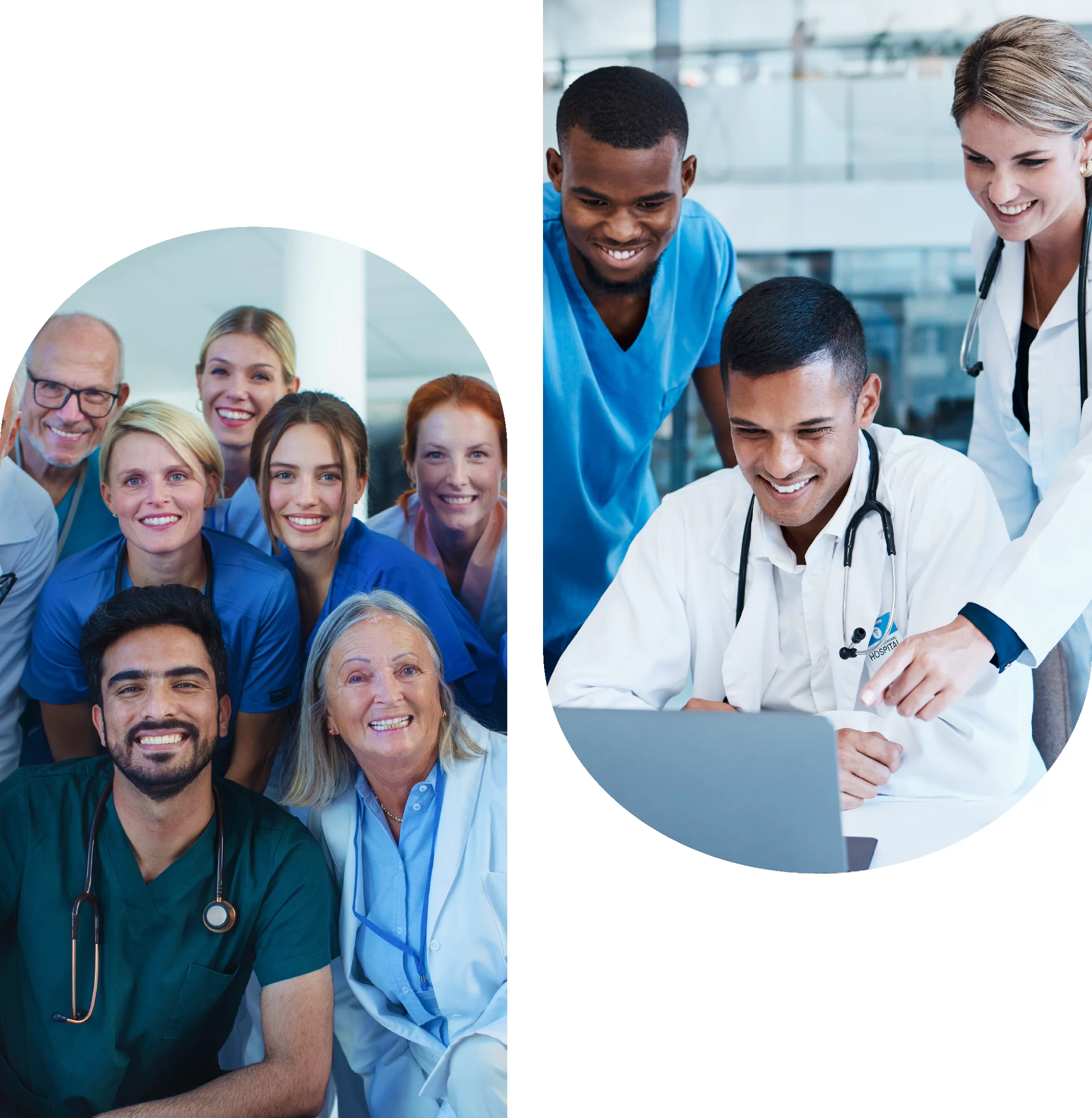 Medical Professional Working on Computer at Trauma Registry Services  Job